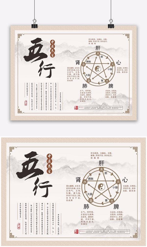 中医脾的概念：功能、症状与调理方法