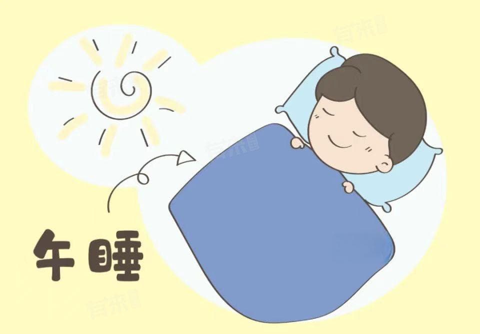 午睡会长高吗