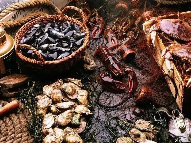不只是皮肤问题：心理因素如何诱发湿疹
