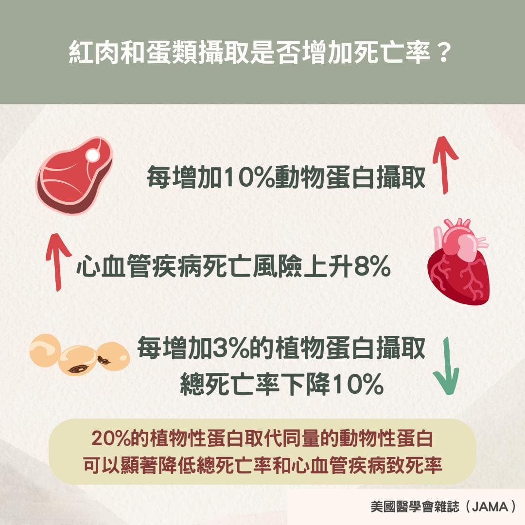 替代20%动物蛋白，这些植物性食物助你降低心血管疾病风险