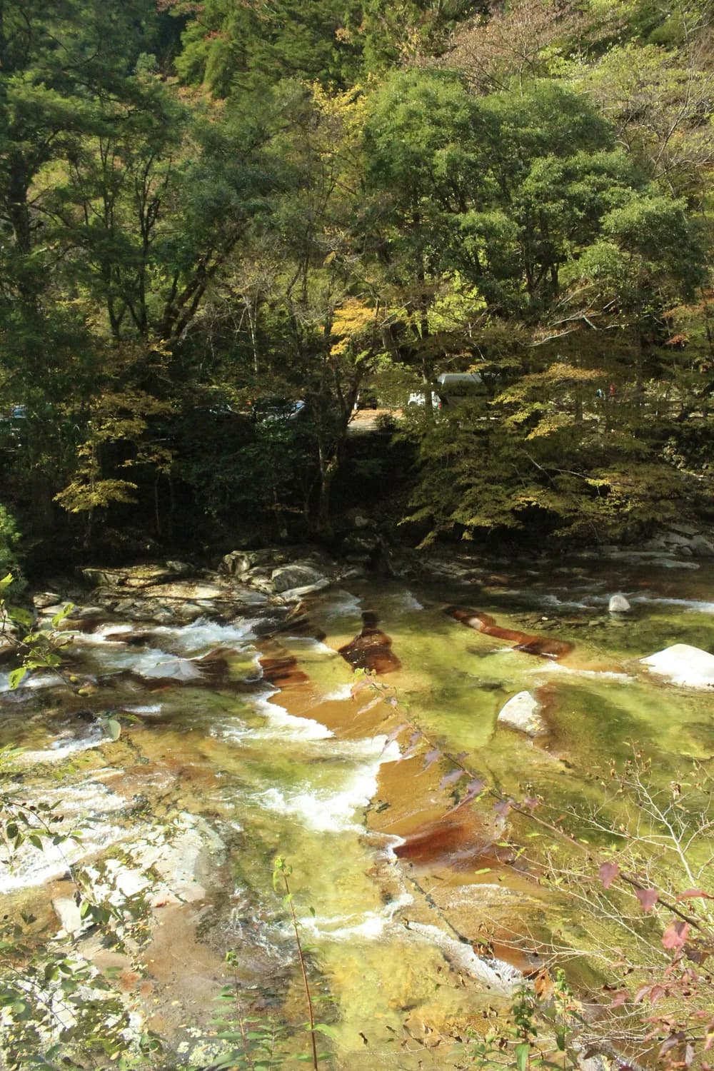 冬季泡汤首选：宁海&余姚温泉度假