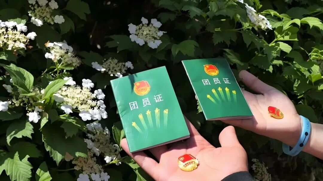 中学为何要入团？入团有什么用？如何高效入团？