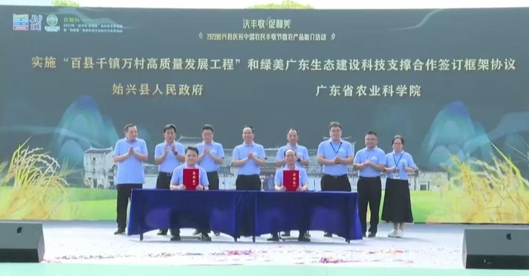 品种加持，助力始兴丝苗米产业走出乡村振兴新"稻"路