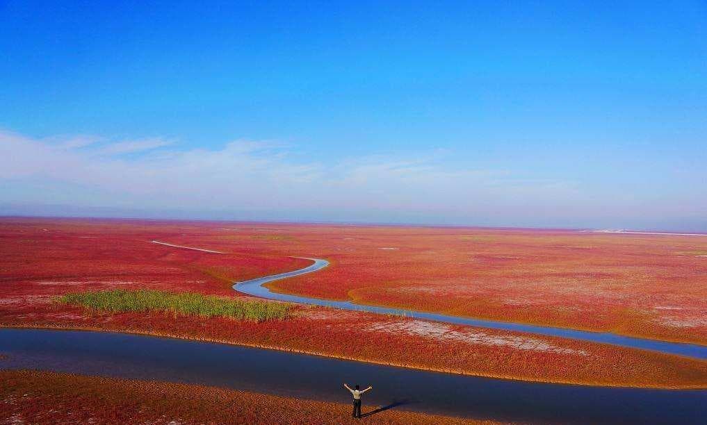黄河入海口最佳观景时间