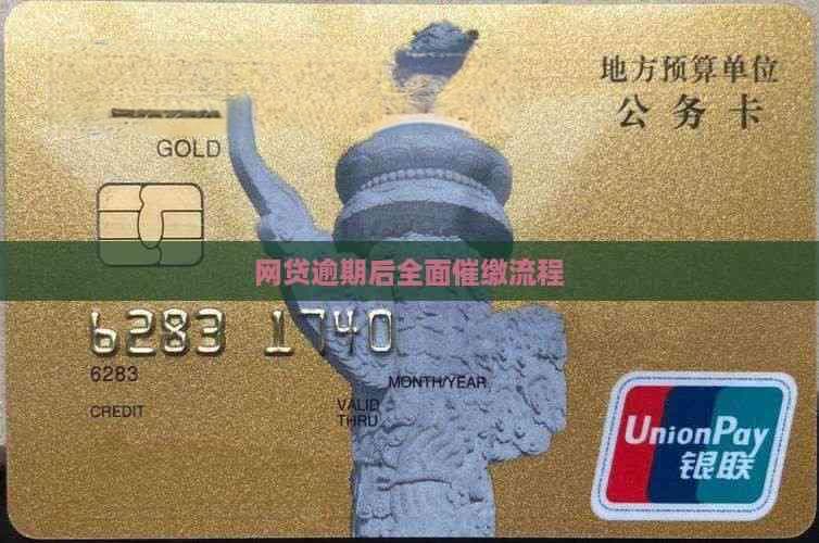 网贷逾期后全面催缴流程详解