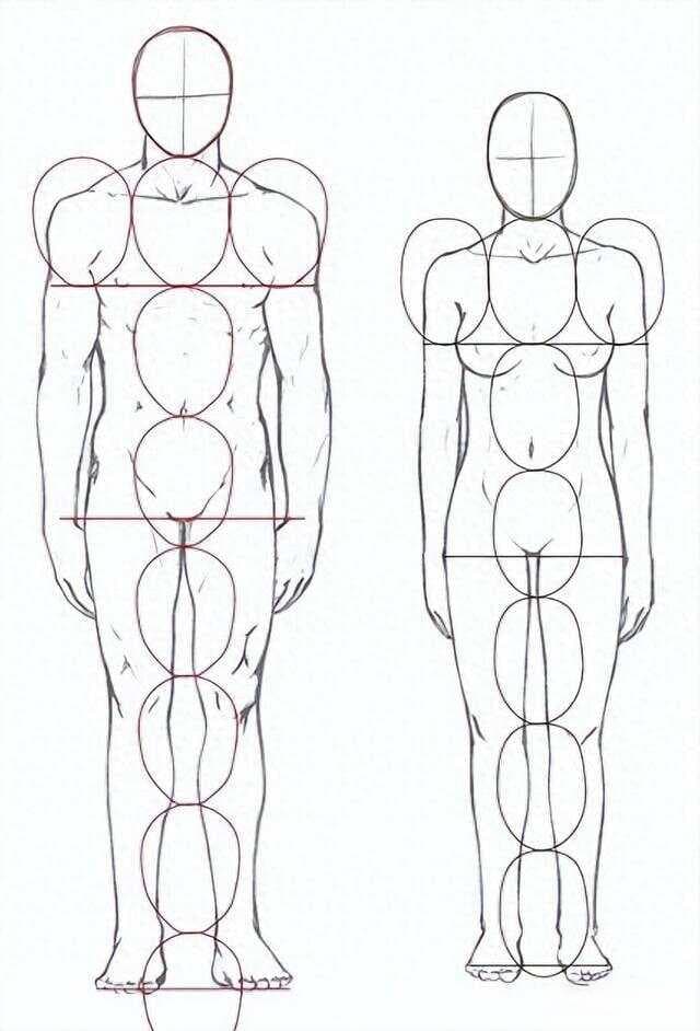 人体素描中理想的人体比例应该是多少？看看你的比例有没有达标！