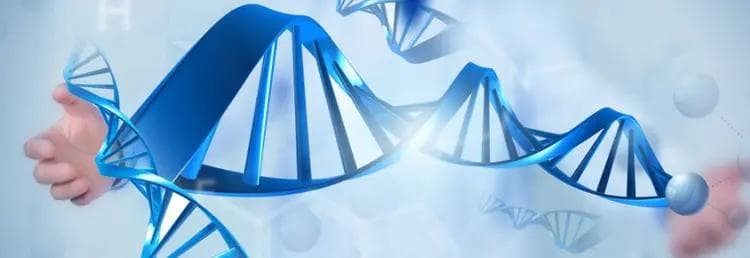 科学证明西南铁改余故事中“铁木健的九子”与蒙元皇室不是一家人