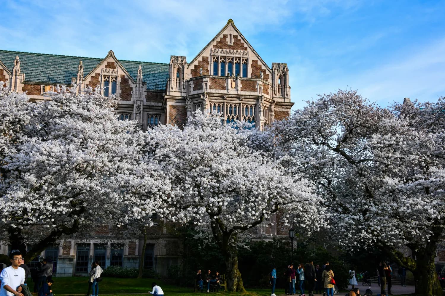 华盛顿大学学费大涨4.5%，取消联邦贷款助学生减负