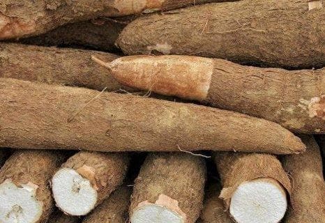 木薯怎么煮才没有毒？新鲜木薯的正确吃法