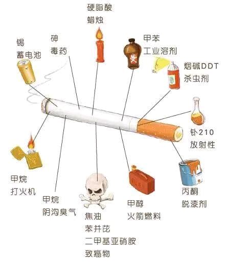 吸烟与炎症性肠病的关系：是风险因素还是保护因素？