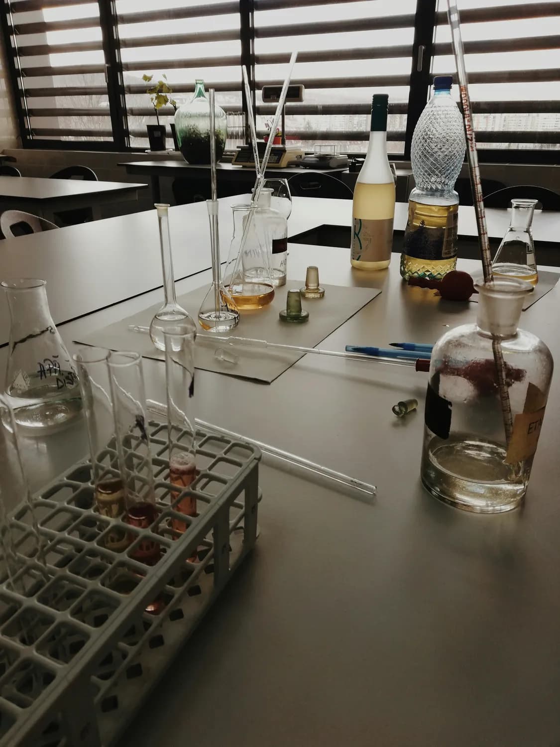 启智四班：用科学之光照亮特殊儿童的成长之路