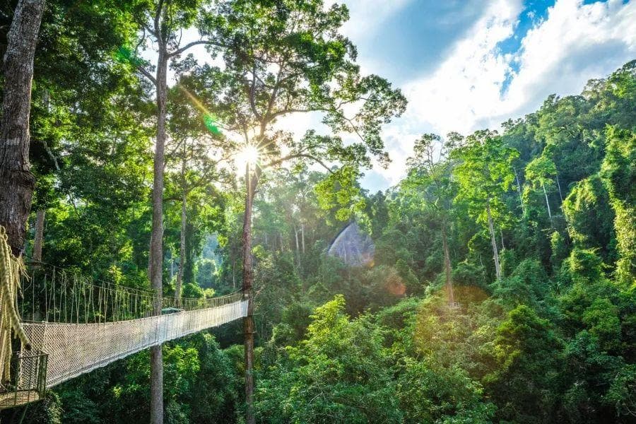 来云南，这7条生物多样性旅游精品线路别错过！