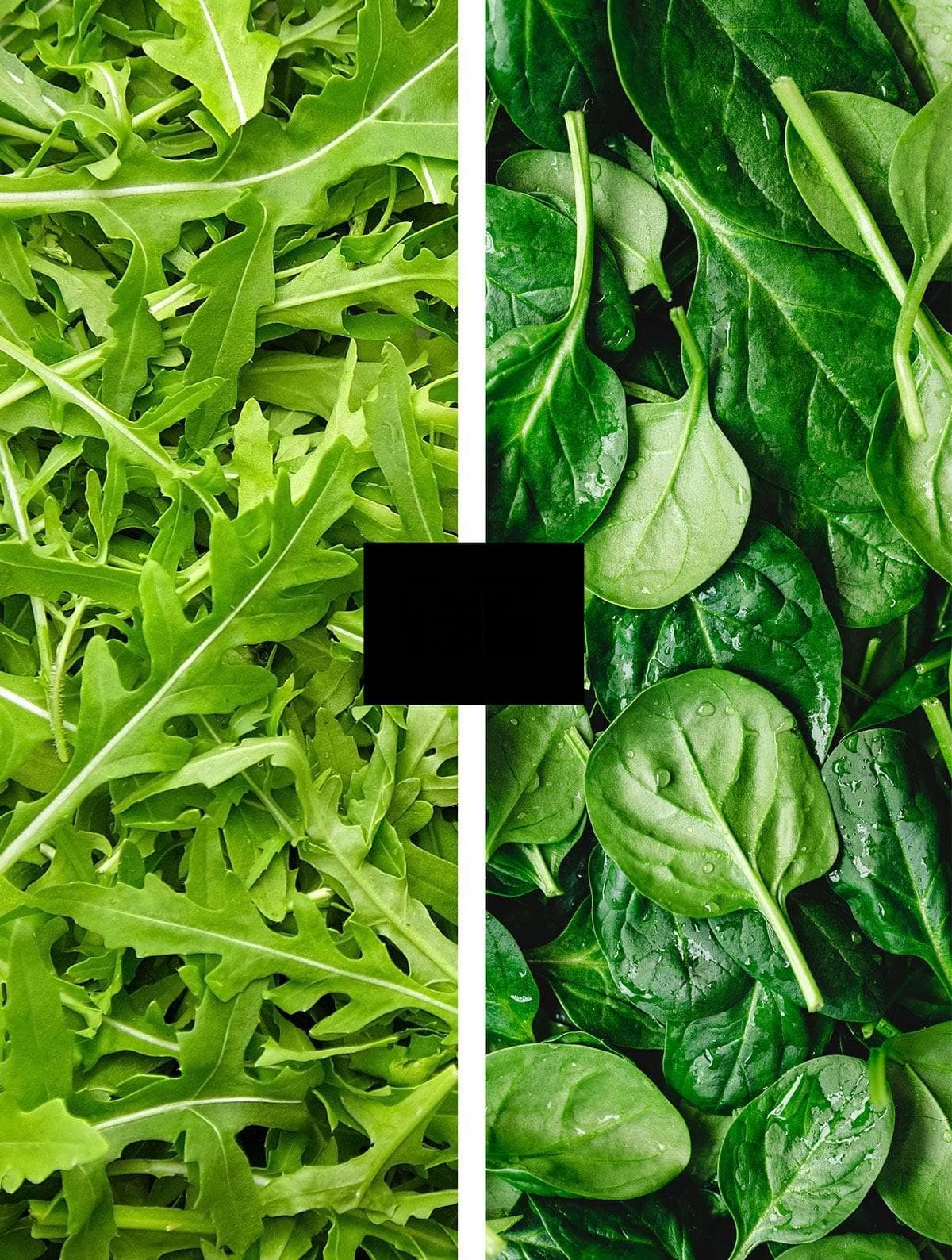 芝麻菜与菠菜：孰优孰劣？