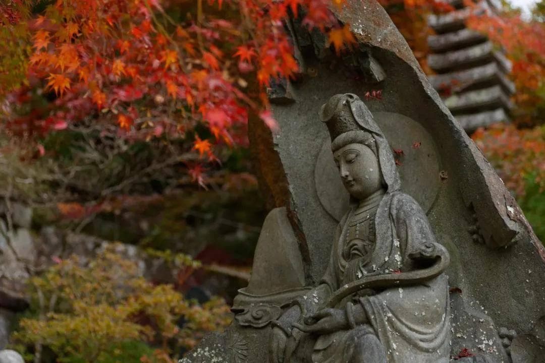 从飞花落叶到重建神宫：无常观，是如何影响日本人生活的方方面面的？