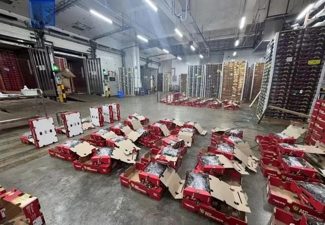 车厘子价格大跳水：全球产量激增与市场竞争下的市场新格局