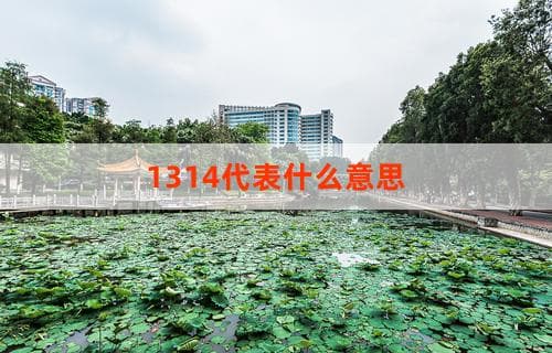 1314代表什么意思：解析数字情感密码