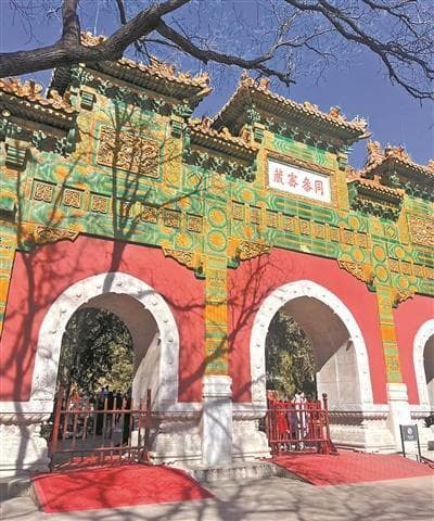 京城赏梅攻略：邂逅冬日限定芬芳