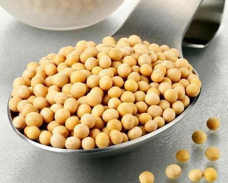 大豆发酵油脂变成什么？这些变化有何影响？