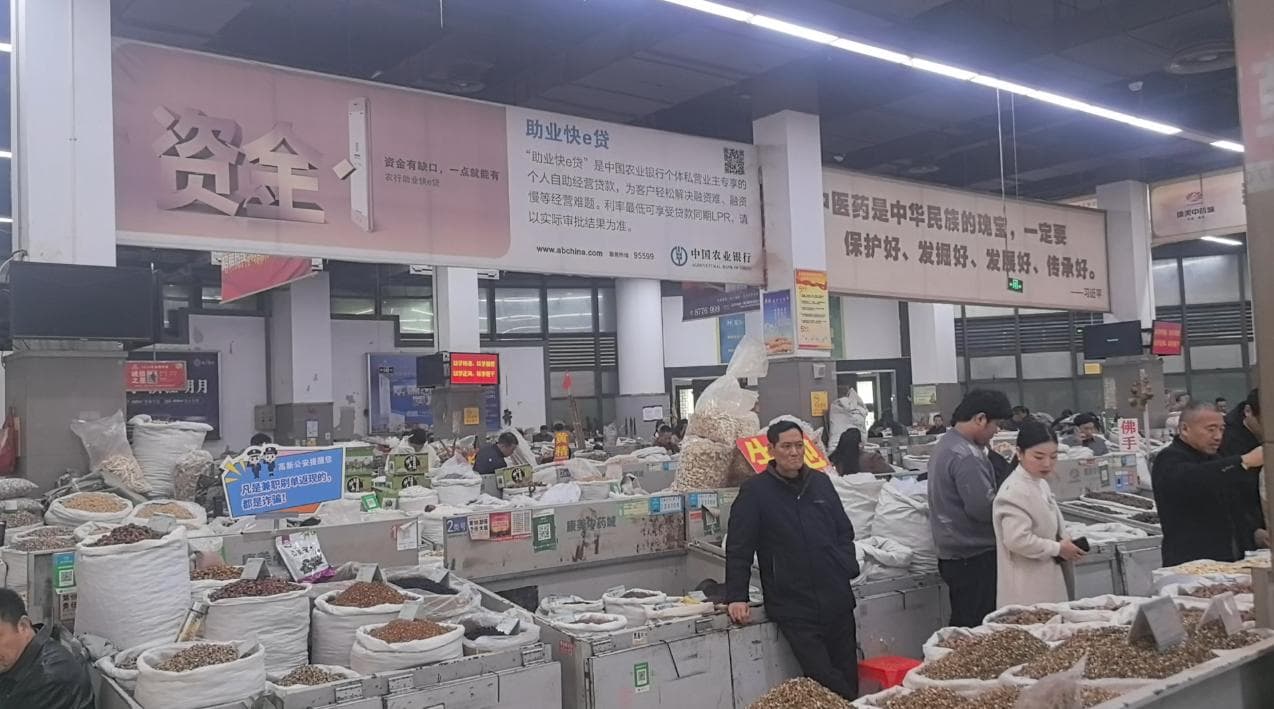 安徽亳州：一个中药材市场带动10万人就业