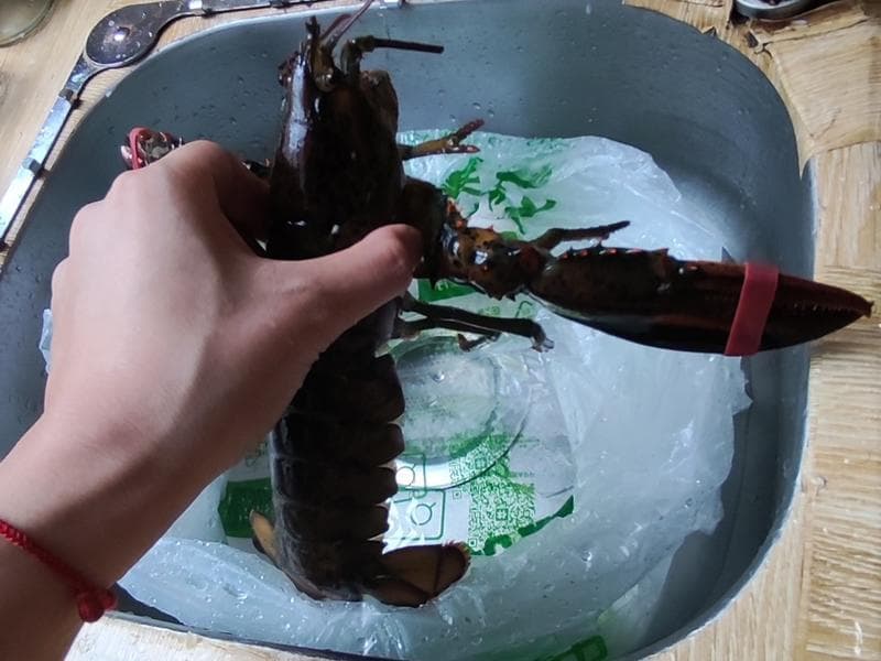 蒜蓉粉丝蒸波士顿龙虾