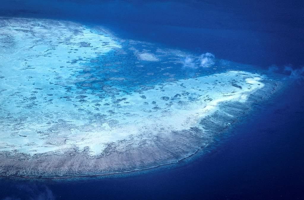 年度记忆·沸腾的海洋②｜珊瑚白化危机：海底的“褪色警告”