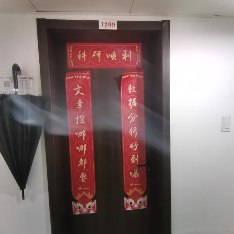 盘点龙年特色春联：青铜铭文大小篆，卡通七“哈”笑翻天