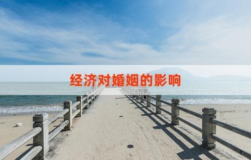 经济波动对婚姻稳定的影响探讨
