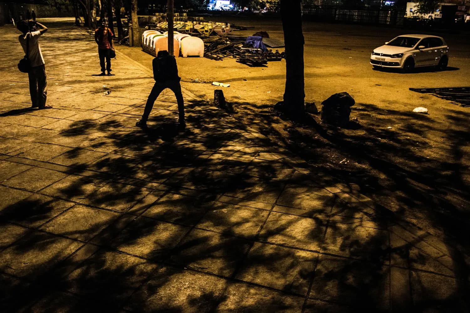 老鼠夜行性揭秘：进化形成的生存智慧