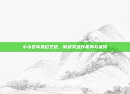 中小客车竞价系统：运作机制与优势解析