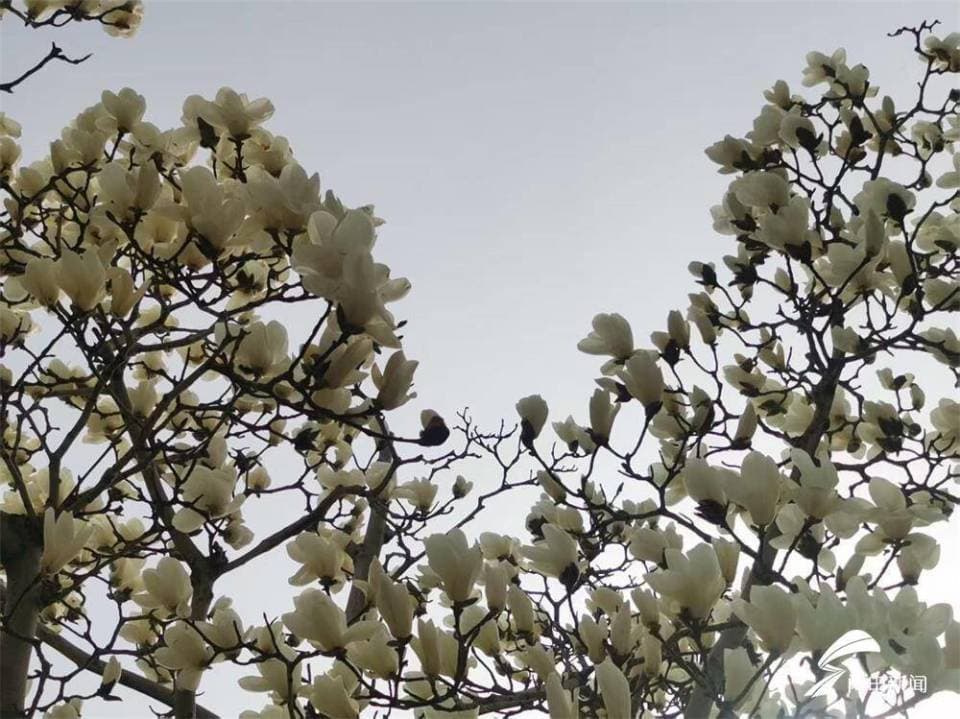 威海“花样地图”来啦