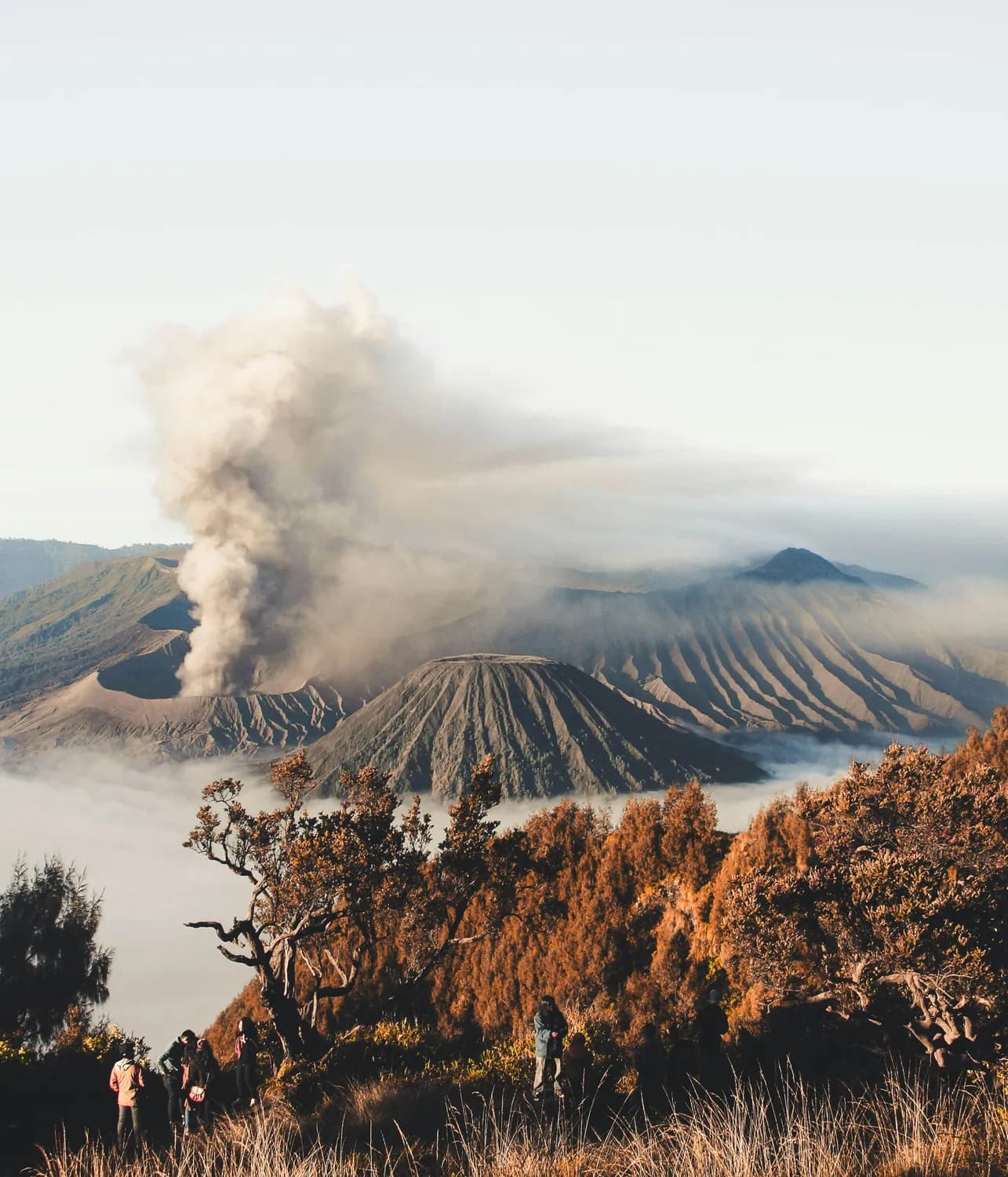 多巴火山喷发：现代人起源的新证据？