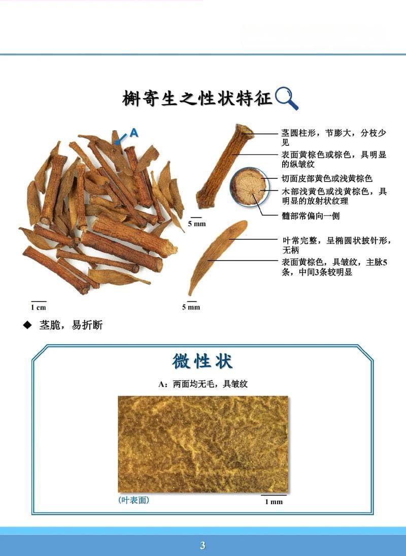 桑寄生价格分析：供需紧张推动价格上涨，人工种植或成未来趋势