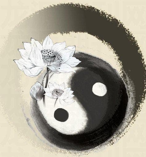 易经与起名：传统文化中的玄妙智慧