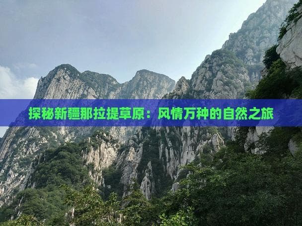 探秘新疆那拉提草原：风情万种的自然之旅
