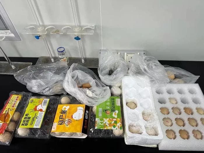 质检院实验：各类鸡蛋蛋白质含量无差别，卫生状况总体良好