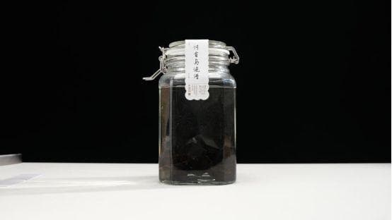 何首乌泡酒的正确方法与功效：如何泡，泡什么酒最好？