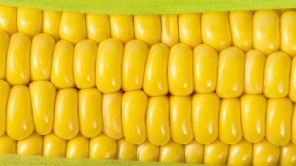 玉米须的药用价值：利尿消肿、降血压、辅助降血糖