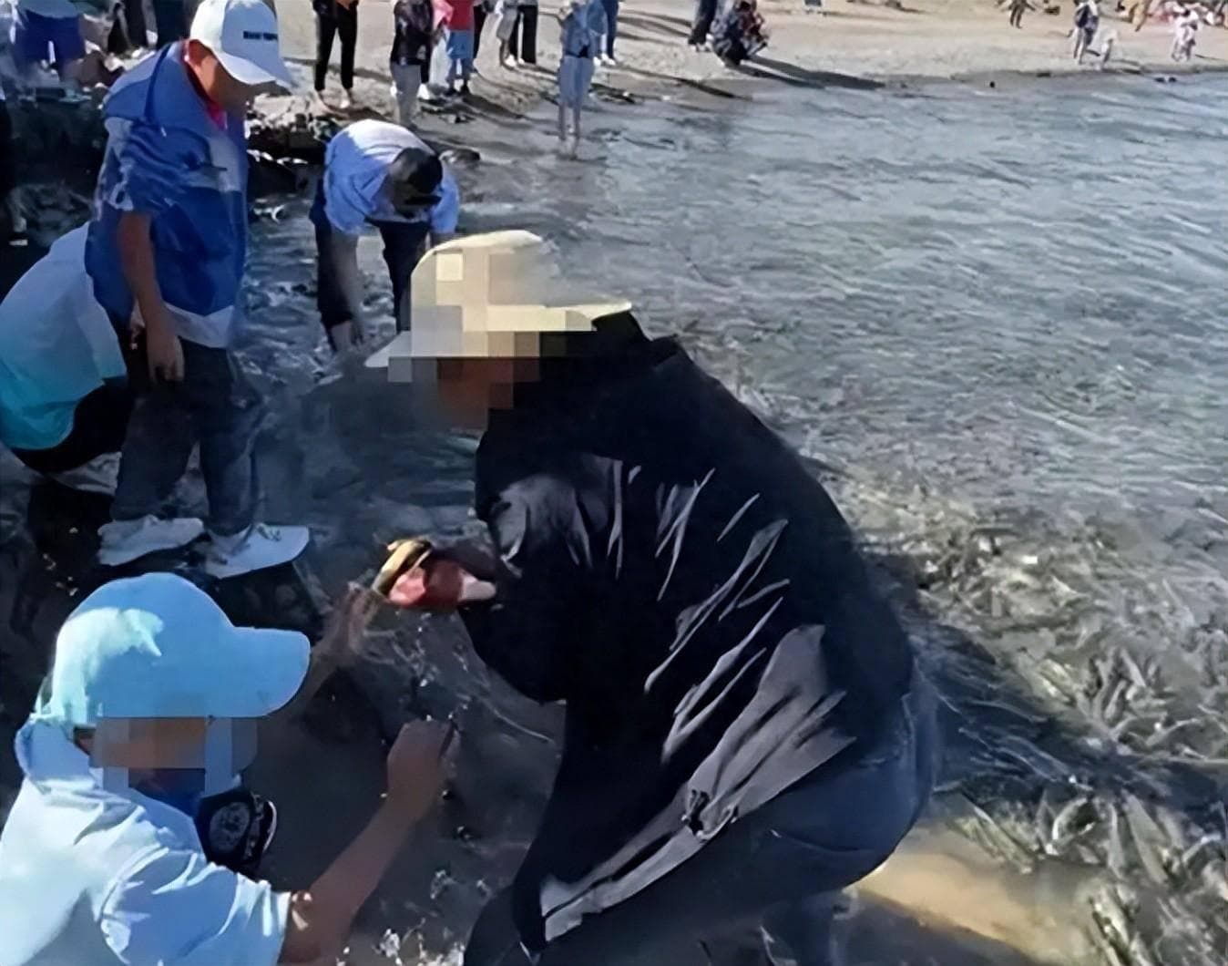 青海湖保护了20年湟鱼，现在湟鱼泛滥，怎么还是二级保护动物？