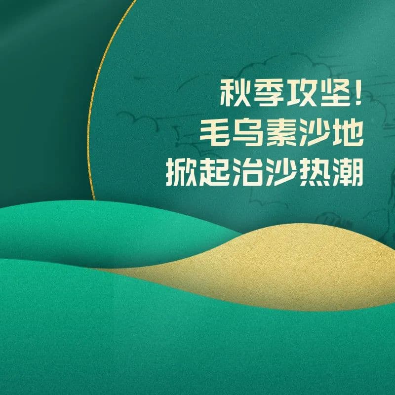 秋季攻坚！毛乌素沙地掀起治沙热潮