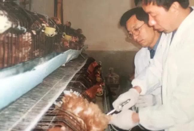 在功能农业和功能农产品及健康领域中，张勇飞教授的默默耕耘化作了累累成果！