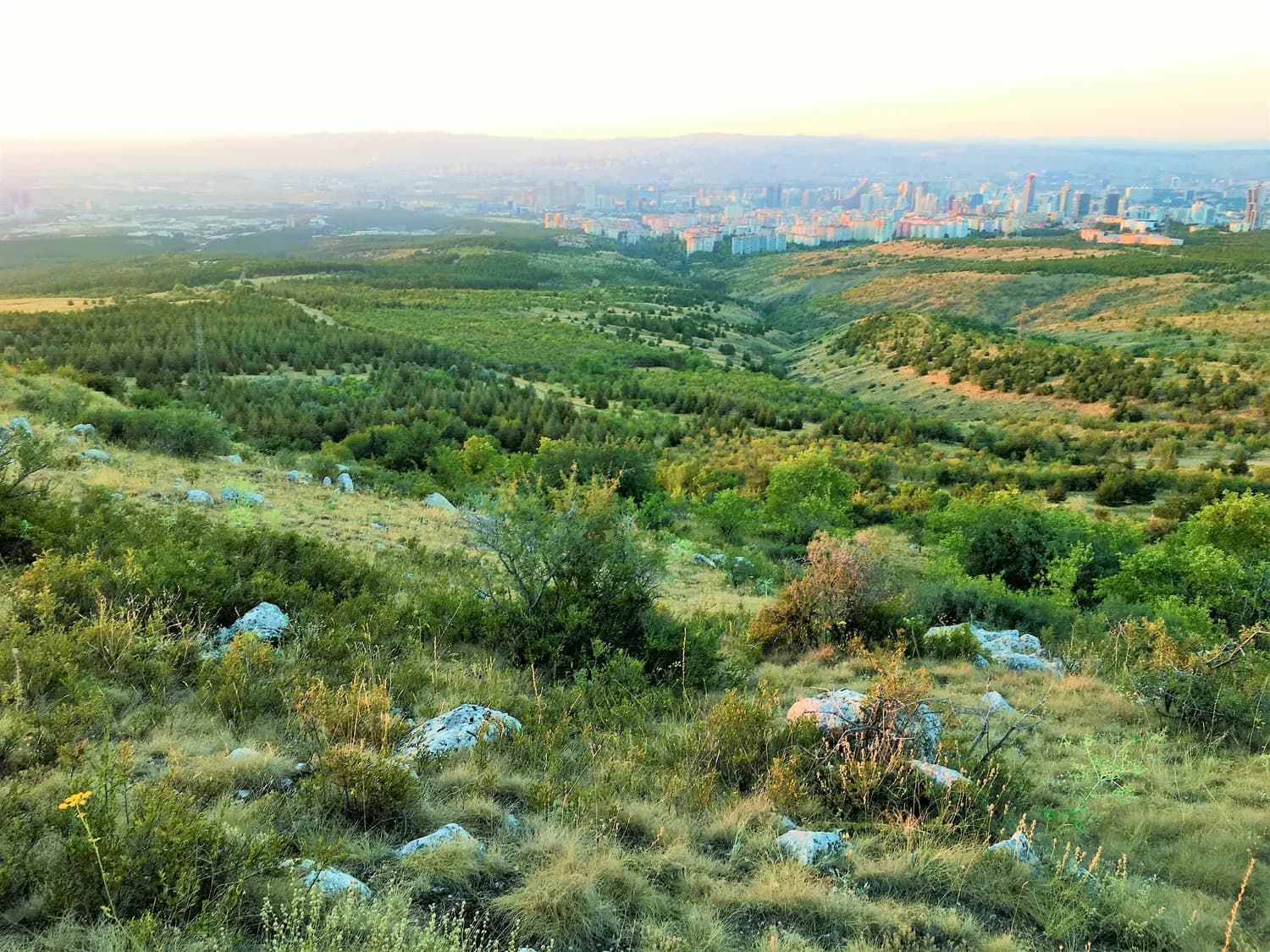 三门峡南山：生态修复变城市绿肺，获省级规划设计奖