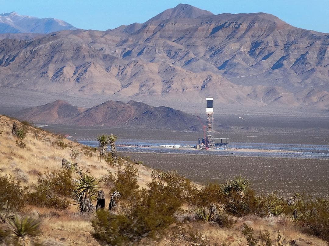 每年3500只鸟类死亡？聚光清洁能源对生物多样性的“双刃剑”效应