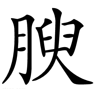 腴字的意思