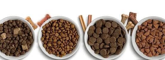 膨化粮、风干粮还是烘焙粮？一文读懂猫粮选购要点