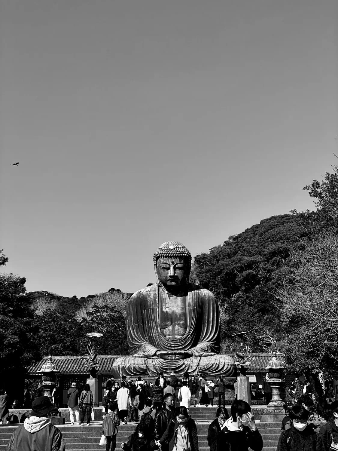九华山拜佛礼仪大揭秘：这些禁忌你都知道吗？