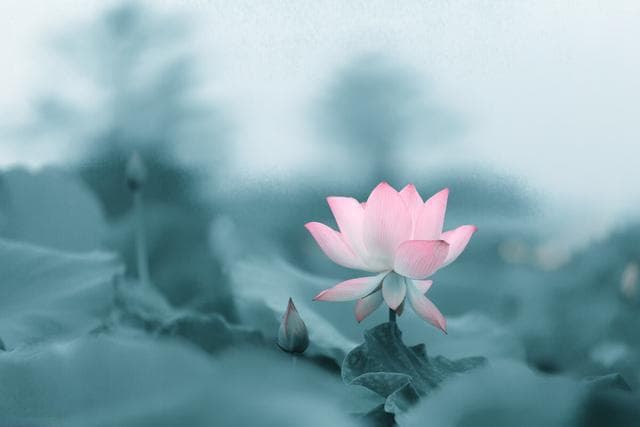 佛说：不再"着相"，是人生唯一的超脱之法
