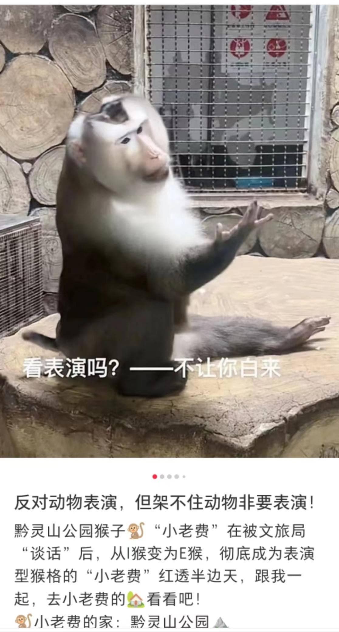 探索贵州的隐秘宝藏：五个小众景点推荐