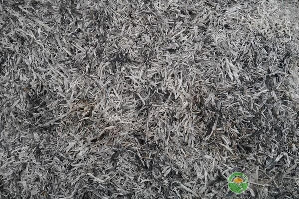 草木灰怎么施肥最好？