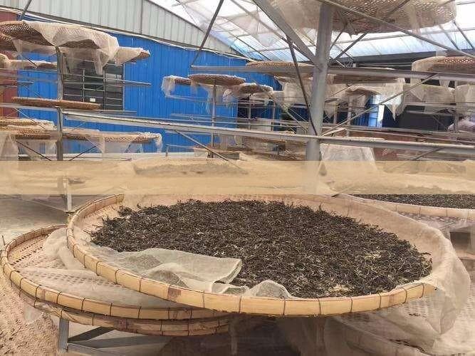 枸杞与茶叶同泡的益处与禁忌全面解析：一次泡出健康好茶