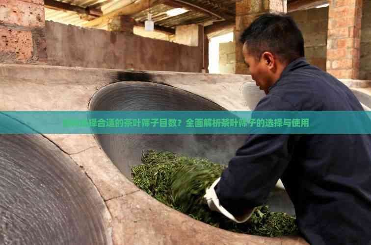 如何选择合适的茶叶筛子目数？全面解析茶叶筛子的选择与使用
